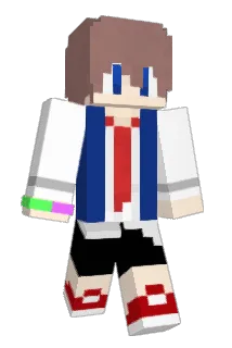 Treeman55 Minecraft avatar full body