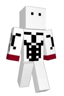 Tribe2065 Minecraft avatar full body
