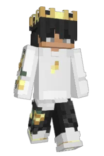 Trickyhawk8 Minecraft avatar full body