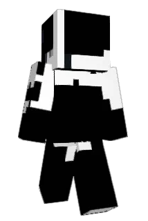 Triflight Minecraft avatar full body
