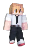 TripTru Minecraft avatar full body