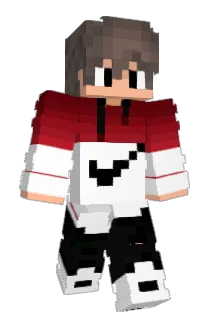Tristan6350 Minecraft avatar full body