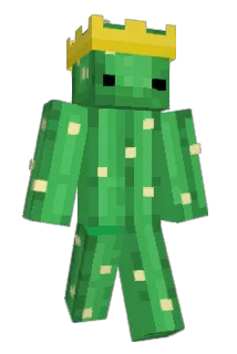 Trixxyz Minecraft avatar full body