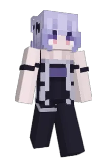 Troad13 Minecraft avatar full body