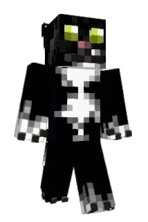 Trolle_90_nice Minecraft avatar full body