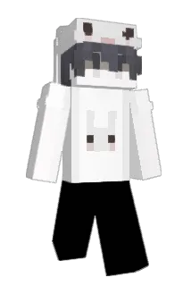 Tromm_1 Minecraft avatar full body