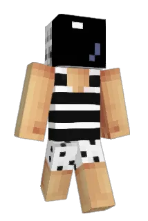Tronout_ Minecraft avatar full body