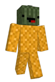 Tropicalxskull Minecraft avatar full body