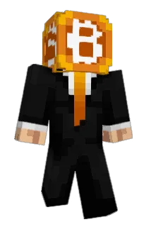 TroubledBuilder_ Minecraft avatar full body