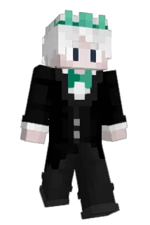 Troxicekk Minecraft avatar full body