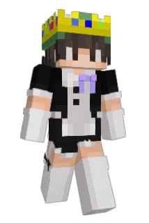 Troy_22_ Minecraft avatar full body