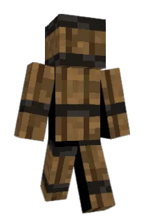 Troycraft70 Minecraft avatar full body
