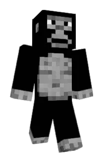 TrueVirtue Minecraft avatar full body