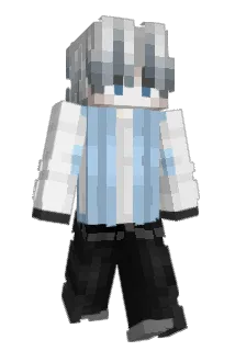 Tryharderboy011 Minecraft avatar full body