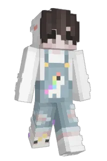 Tschenis Minecraft avatar full body