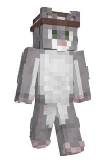 TsoyKINO Minecraft avatar full body