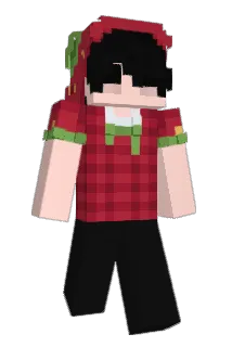 Tsugoli Minecraft avatar full body