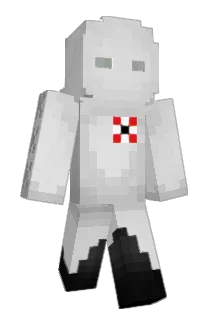 Ttink20 Minecraft avatar full body