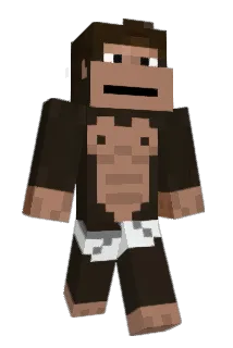 TuTe003 Minecraft avatar full body