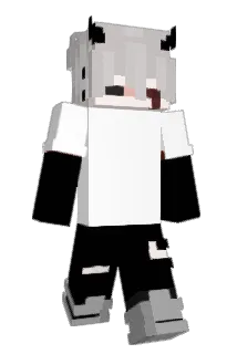 Tubelessanas Minecraft avatar full body