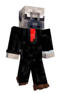 Tukker9 Minecraft avatar full body