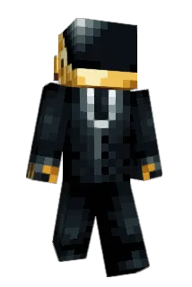 TunerAce Minecraft avatar full body
