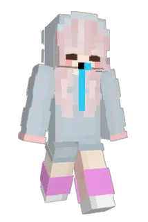 Tungfish Minecraft avatar full body
