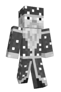 Tunico224 Minecraft avatar full body