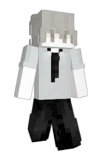 TurkishTBotter Minecraft avatar full body