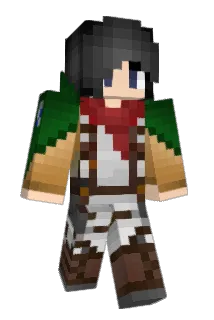 Turtle1104 Minecraft avatar full body