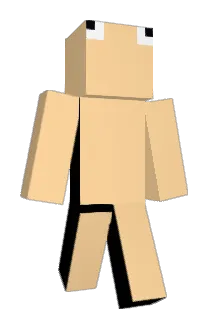 Turtle1399 Minecraft avatar full body
