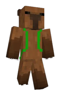 Turtle6767 Minecraft avatar full body