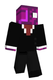 Turtle8393 Minecraft avatar full body
