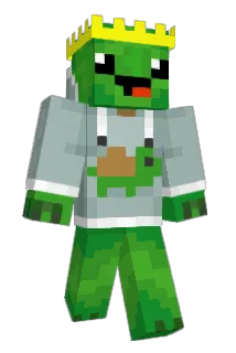 TurtleHero55 Minecraft avatar full body