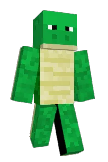 TurtleKid Minecraft avatar full body