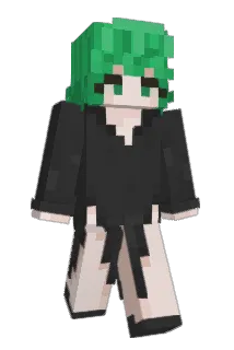 TurtleSlayer619 Minecraft avatar full body