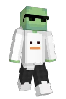 Turtle_14 Minecraft avatar full body