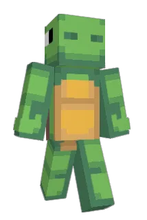 Turtleboy9309 Minecraft avatar full body