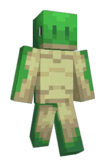 Turtlecake_ Minecraft avatar full body