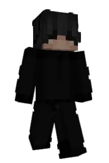 TurtlesWillDie Minecraft avatar full body