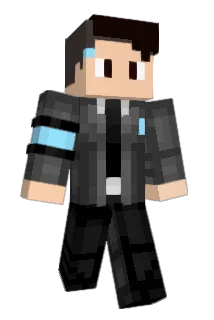 Turtpipchim Minecraft avatar full body