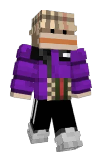 Tutuyte Minecraft avatar full body