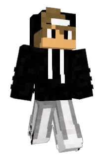 Twantjuhh Minecraft avatar full body