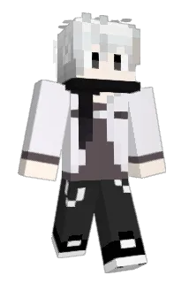Twi_Lt Minecraft avatar full body