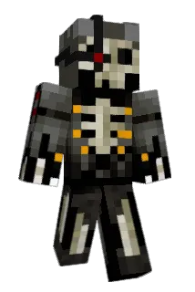 Twigs25 Minecraft avatar full body