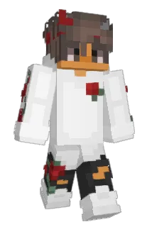 Twiiskow Minecraft avatar full body