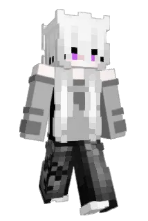 Twilightts Minecraft avatar full body