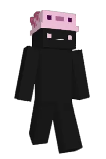 Twinight036 Minecraft avatar full body