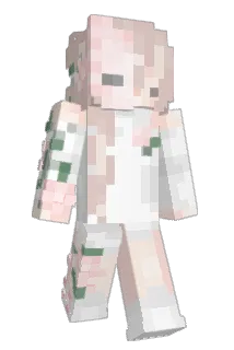 TwinkleKarp Minecraft avatar full body
