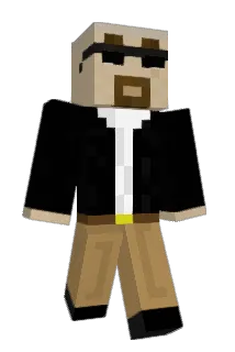 TwinkleToez6933 Minecraft avatar full body